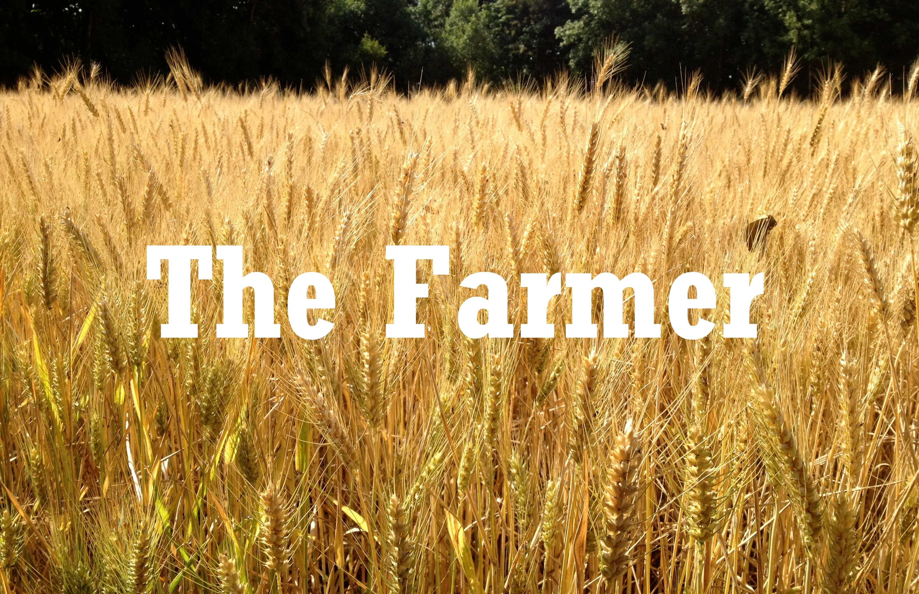 The Farmer poster